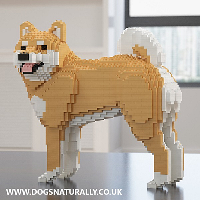 Shiba Inu (New) Jekca Available in 2 Colours & 2 Sizes
